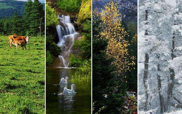 企業(yè)工服定做氣候選擇