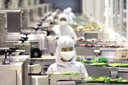 食品廠工作服定做