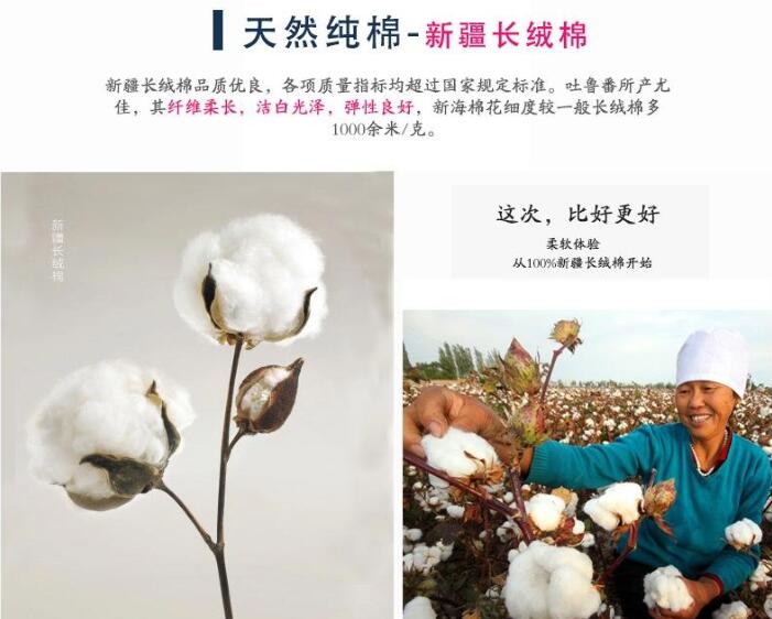 新疆長(zhǎng)絨棉